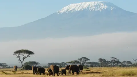 Kilimanjaro