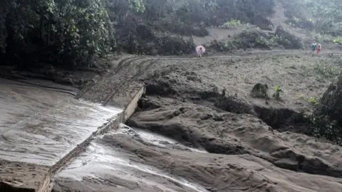 EPA Volcanic ash covering the forest on Ambae