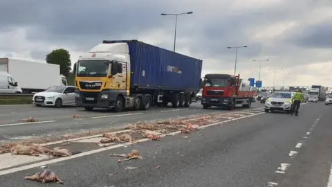 West Yorkshire Police Dead birds on M62