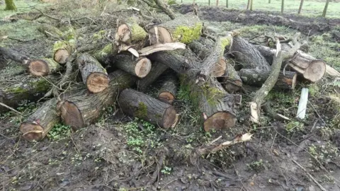 Highways England Felled logs