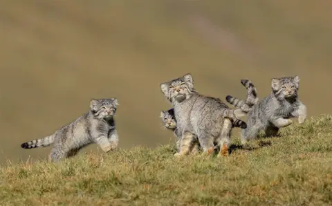  Shanyuan Li/WPY2020 When mother says run by Shanyuan Li, China