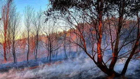 Nottinghamshire Fire and Rescue Service Oak Tree Nature Reserve