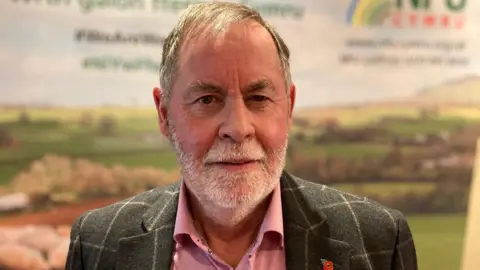 BBC Bernard Llewellyn