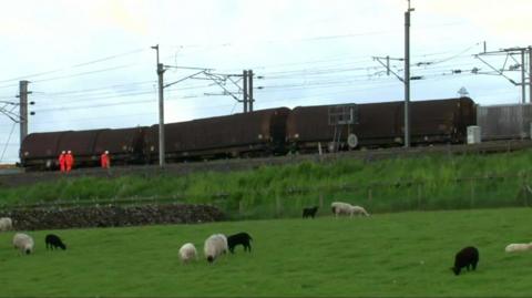 The derailed freight train next to a field of sheep