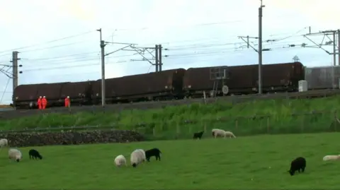 BBC The derailed freight train next to a field of sheep