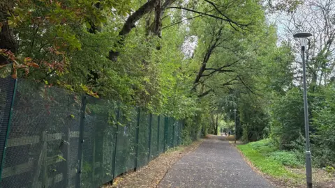 Local Democracy Reporting Service Image shows a country lane surrounded by trees with a green fence on the left hand side.