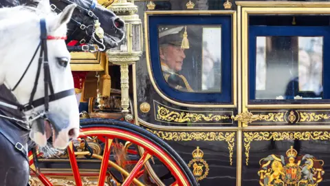 The King in the royal carriage