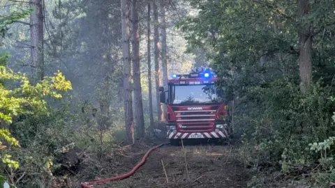 Northamptonshire Fire and Rescue Service A red fire engine in woodland, with a red hose running along the ground. It is surrounded by trees, bushes and grass.