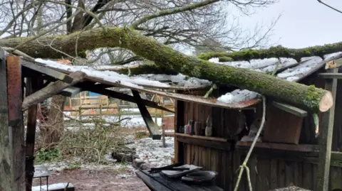 Hrafn Vikings A large branch resting on the roof of a small wooden building with snow on the ground surrounding it.