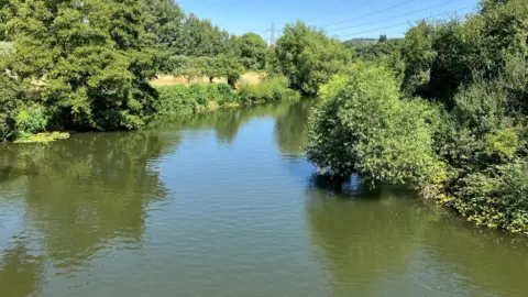 BBC The River Avon on a sunny day in the countryside - running through green fields, surrounded by trees. Electric pylons in the distance.