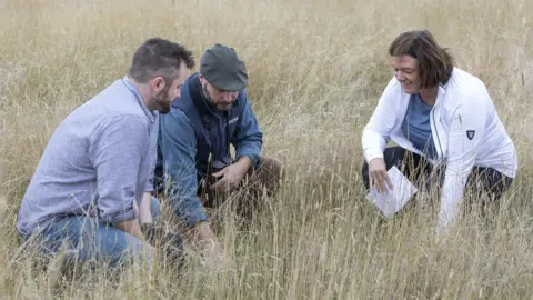 Mike Bolam Research at Threave