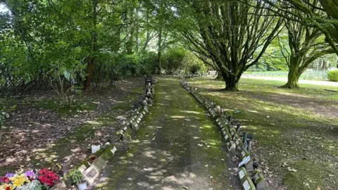 LDRS A series of taxis parked up ready to collect customers