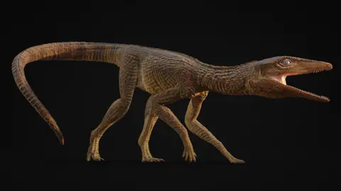 Matt Dempsey Life reconstruction of Galahadosuchus jonesi - the ancient crocodile is described as a reptilian greyhound and is similar in appearance to a dinosaur with dark green/ brown scaly skin. It has longer legs than a crocodile. 