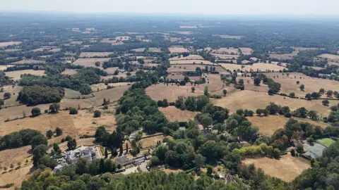 A vista of yellow fields, as seen from above. The fields are separated by green hedgerows.