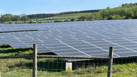 Solar panels, with more solar panels behind them