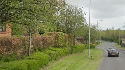 Google A road with homes behind a row of bushes and trees. There are lamposts along the street and a car.