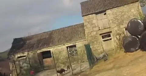 Cornwall Council A stone-built building on two levels with what appears to be a roof made of metal in a rural vernacular with two animals which appear to be dogs in a caged area in front of one of the buildings and a number of bales of undetermined material incarcerated in plastic on the right.