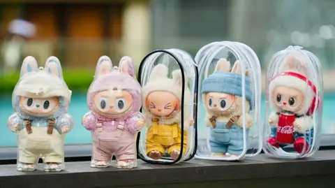 Five Labubu dolls, in plastic cases, stand in a line