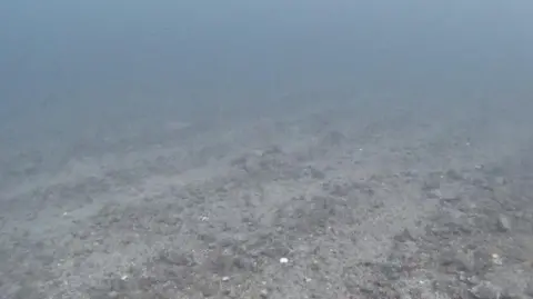 OpenSeas Under-water footage of the same area of sea bed with no plant life. There are tracks along the grey gravel.