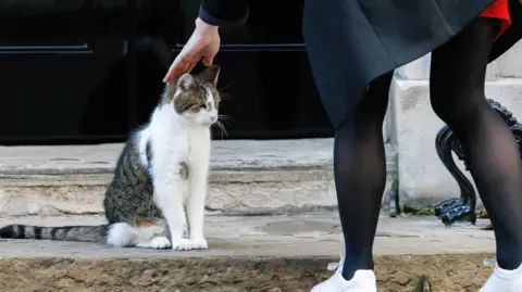 EPA A woman petting a white and brindle coloured cat called Larry outside 10 Downing Street. 