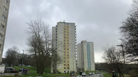 Two tower blocks are seen next to a road and with cars parked alongside. The towers are around 17 storeys high and has blue and yellow cladding around teh windows running up the middle of them.