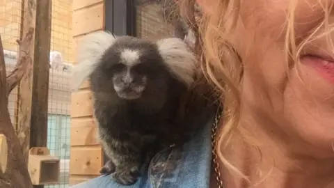 Lisa-Marie is in front of an enclosure, we can only see the side of her face. She is wearing something denim. A monkey is standing on her shoulder looking into the camera. It has black fur with white ears. 