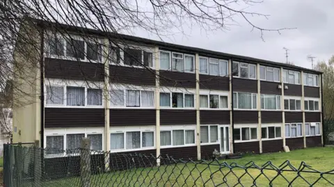 MATTHEW LOCKWOOD/BBC A shot of the block of flats with the brown cladding. It is situated next to a busy main road but has a communal green space.