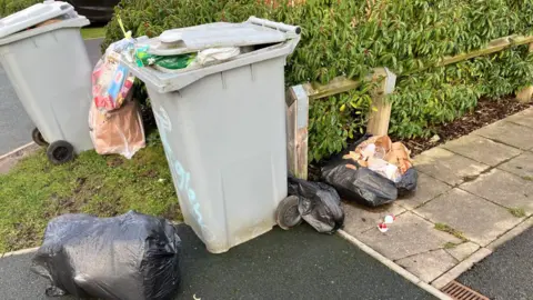 Nicola Cook Two silver bins, positioned next to a hedge and low wooden fence, are surrounded by open bags of rubbish.
