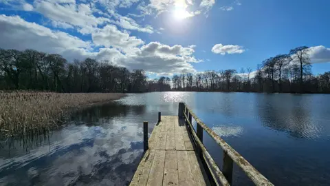 Stormchaser Al / BBC Weather Watchers A small wooden pier stretches out into a lake in Eye, Herefordshire. Rushes on the left grow out of the water, with trees lining the bank on the far side