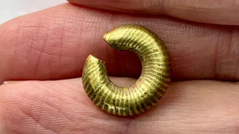 Lemuel Lyes A small gold ring resting between someone's fingers. It had a gap in it about a third of the diameter of the inside of the ring and light and dark banding roughly coming from the centre.