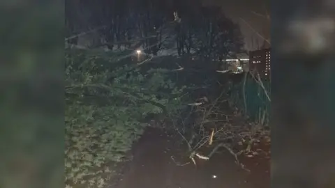 Sara Smith A picture, taken in the dark, of a large fallen branch blocking a cycle path. 