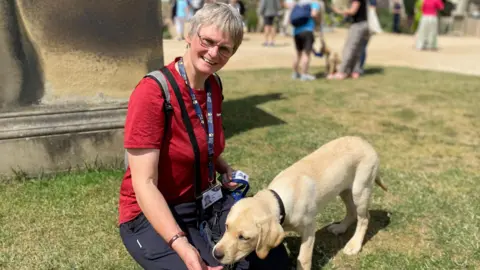 Lady in red with grey hair feeding a labrador puppy at Chatsworth House