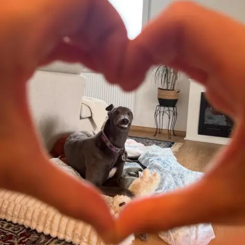 Supplied Kiki lies on blankets in a living room, framed by hands forming a heart shape in the foreground. Kiki wears a collar and rests beside a soft toy, with a sofa, fireplace, and plant visible in the background.