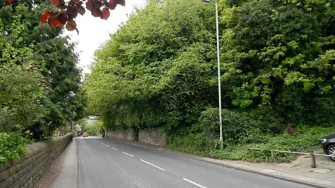 A road lined with large, leafy green trees that overhang a low stone wall on either side of the road.