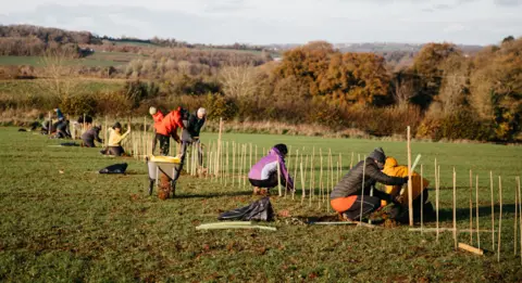 Alexander Turner/Avon Needs Trees A group of people in bright outdoor jackets plant hedgerow plants in a line marked out by bamboo canes in a field.