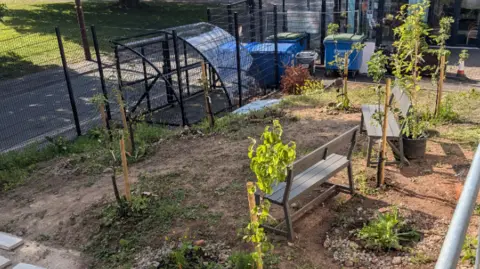 Wellspring Settlement A garden is pictured with a metal fence around it. The ground is waiting for grass to grow, and around six trees have been planted around two benches.
