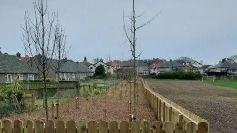 DOUGLAS COUNCIL A fenced off area behind a row of houses where young trees have been planted. Half of the grassed area to the right is churned up an muddy.