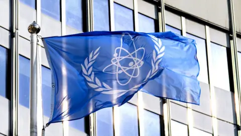 Flag of the International Atomic Energy Agency (IAEA) at its Vienna headquarters (file photo)