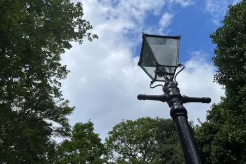 A gas lamp in the Park Estate in Nottingham with blue sky and tree branches in the background