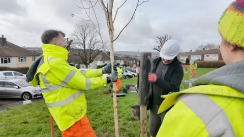 A group of people are planting a tree on a green space on a housing estate in Plymouth. Some are wearing hard hats, others are in high-viz jackets. In the foreground, a man is holding a tree upright while another hammers in a wooden post that will hold the tree upright. 