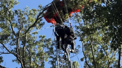 X/Nashville Fire Department Nashville Fire Department officers use ladders to reach a man on top of a tree hanging from an orange parachute.