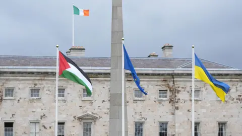 The Palestinian flag has been raised at Leinster House