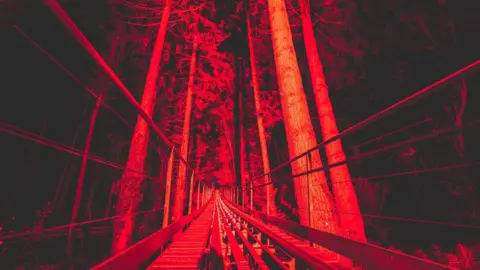 Ffear Fforest - Zip World Shot of an abandoned train track at the site, lit up in spooky red lights