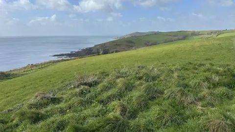 A field is in the foreground and stretches out to reveal the coast and a couple of headlands