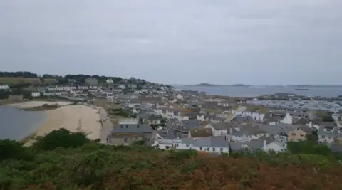 An ariel shot of houses on the right and a beach on the left. There is a greenery in the foreground of the image and in the distance blue sea. 