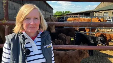 Liz Webster, a Swindon farmer standing in front of a holding pen with cattle in it