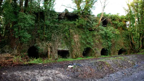 © Crown DfC Historic Environment Division The Moneybroom lime kilns, as seen before they were demolished in April 2021