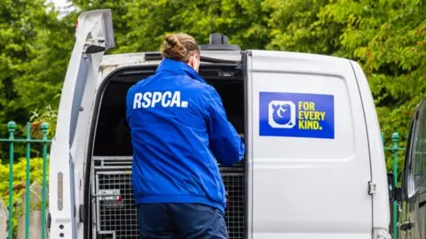 An RSPCA worker wearing a blue branded raincoat with their brown hair tied up into a bun. They are fiddling with a metal cage in the back of a white van, used to transport animals. In the background there is a green metal fence and mature trees.