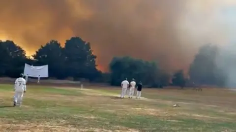 Orange flames and dark grey smoke fill the sky in the distance from a cricket field. Four cricket players are standing on the pitch watching the flames take hold beyond a row of trees.