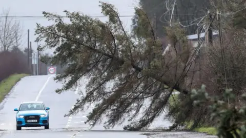 Reuters A car passed under a falling tree 